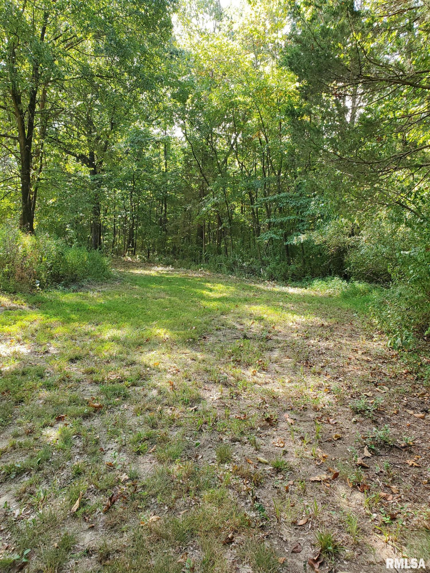 3205 Battleford Road Stonefort, IL 62987 - Photo 6 of 8
