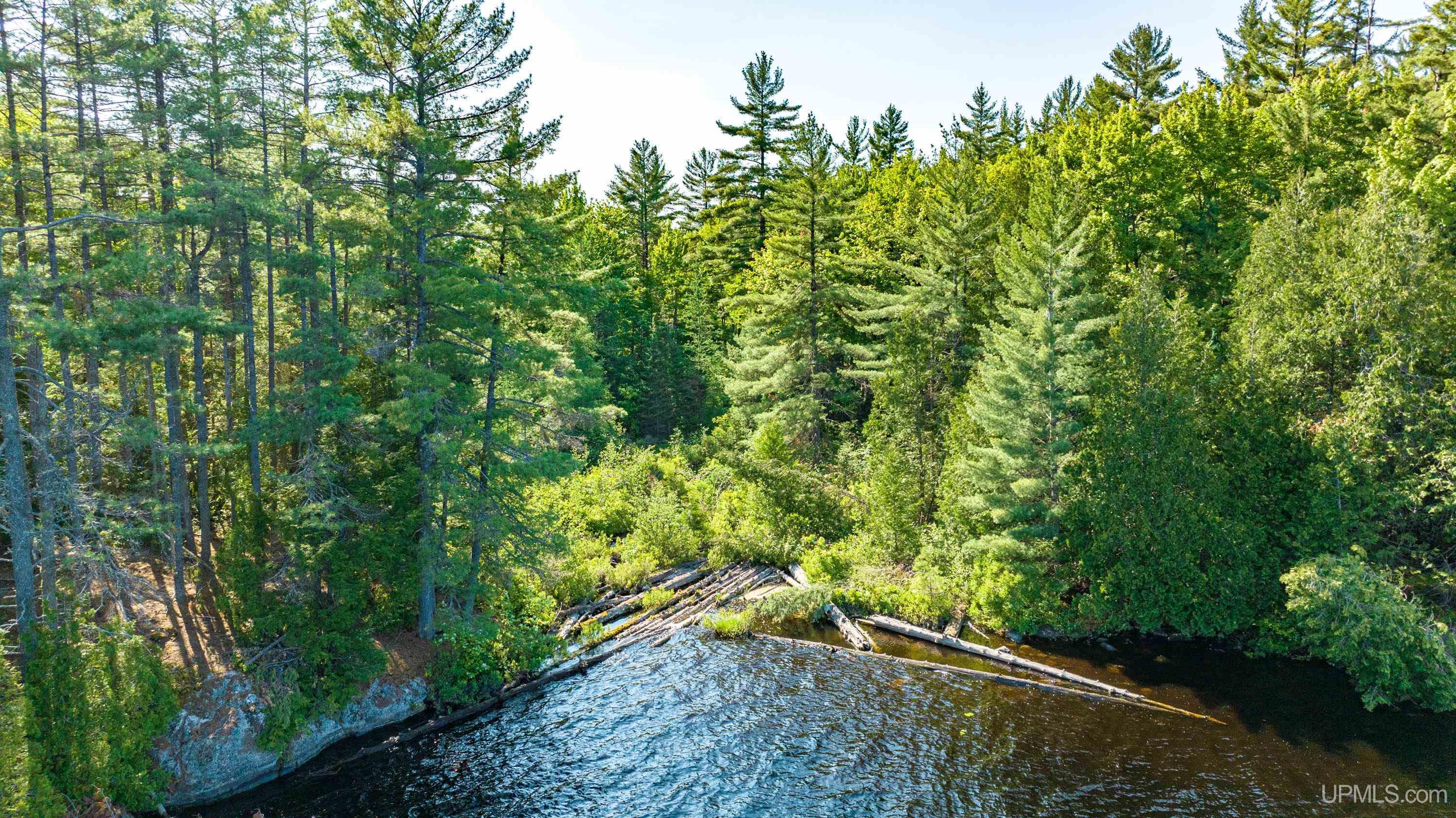 Tbd Tbd Dommer Lake Road Michigamme, MI 49861 - Photo 2 of 25