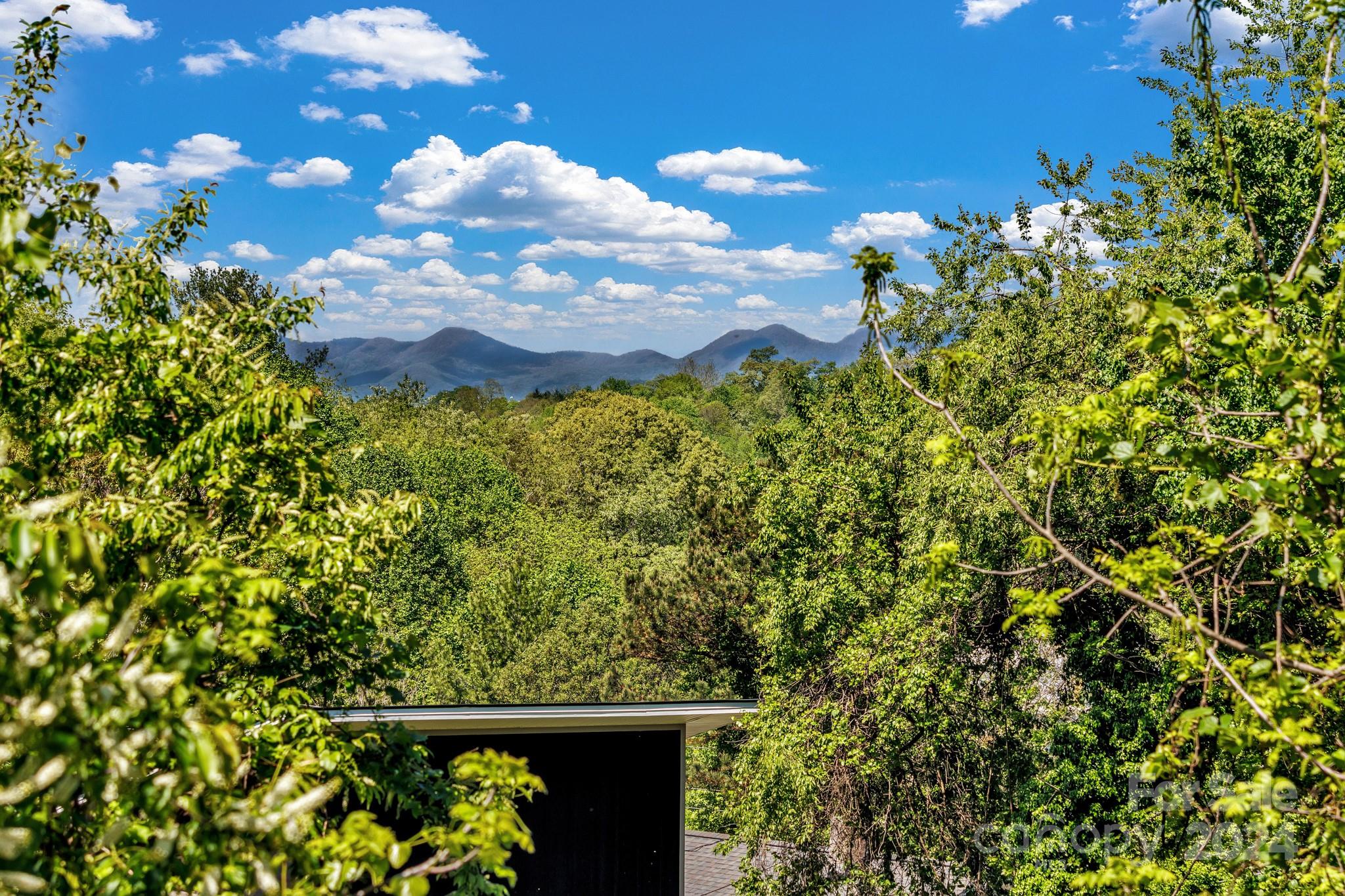 24 Winding Road Asheville, NC 28803 - Photo 36 of 37 Gallery Image 36