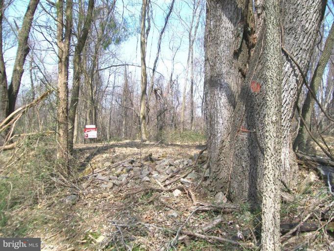 Howell Road Harpers Ferry, WV 25425 - Photo 3 of 4 Wooded View / Acreage