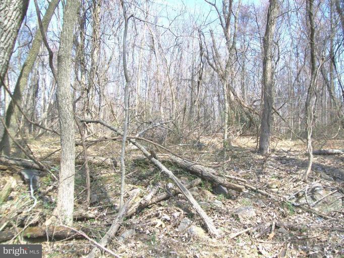 Howell Road Harpers Ferry, WV 25425 - Photo 4 of 4 Wooded View / Acreage 2
