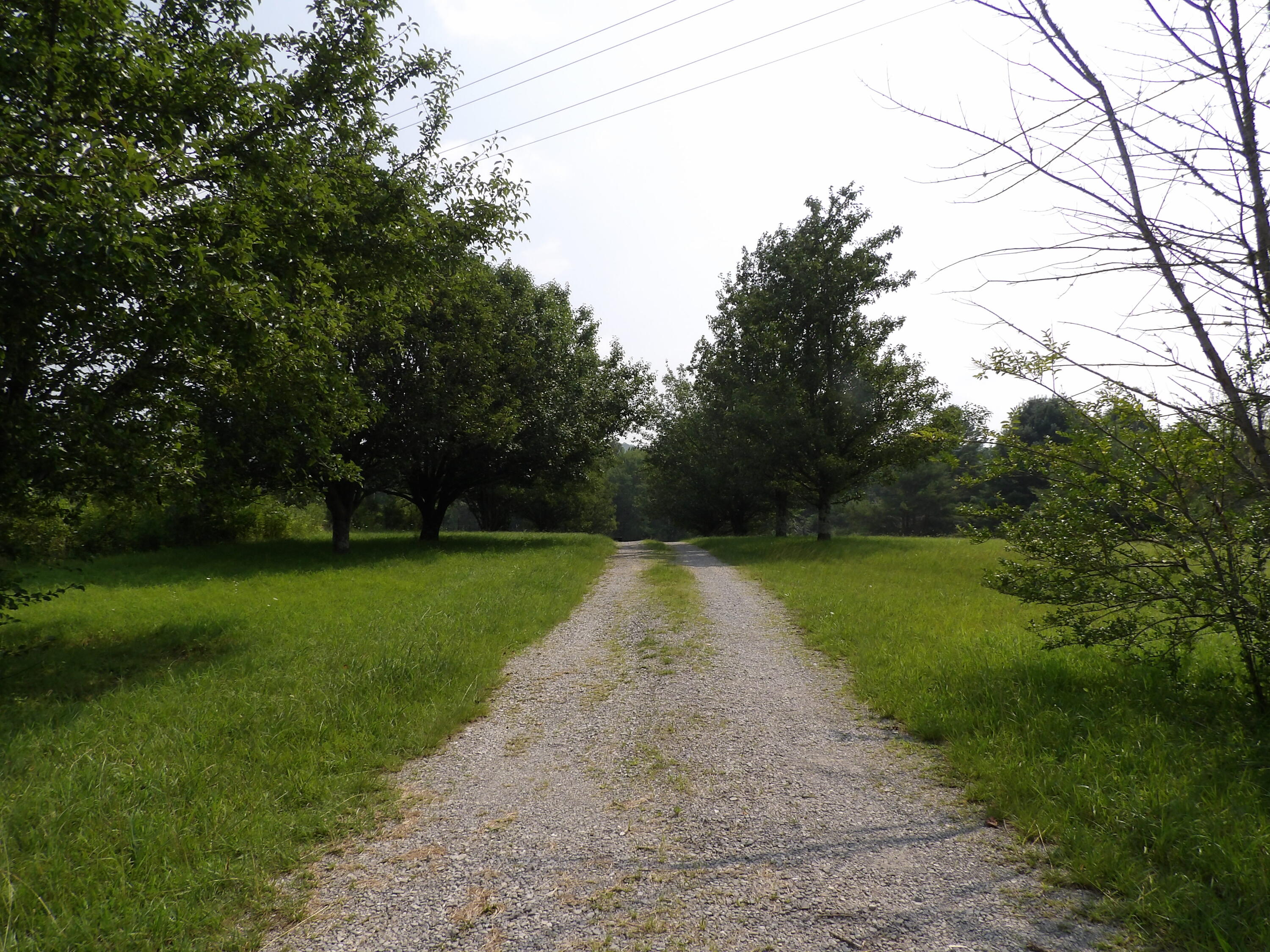 11370 Brockdell Road Pikeville, TN 37367 - Photo 11 of 32 100_5683