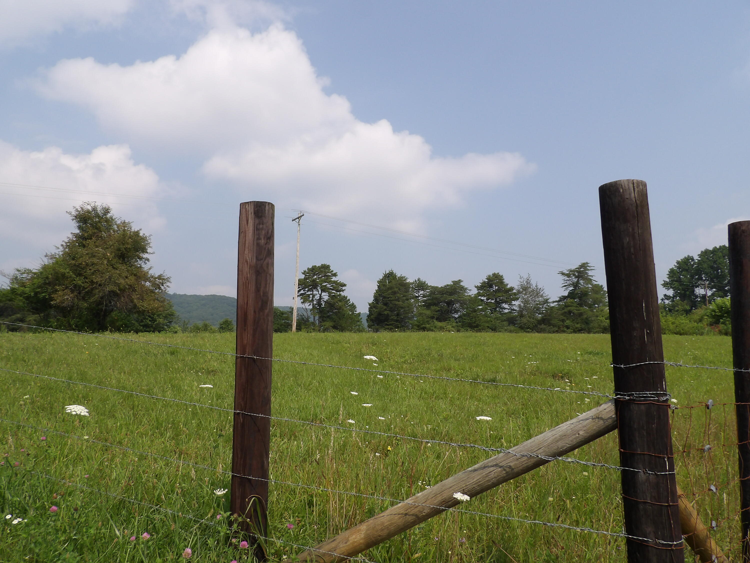 11370 Brockdell Road Pikeville, TN 37367 - Photo 17 of 32 100_5691