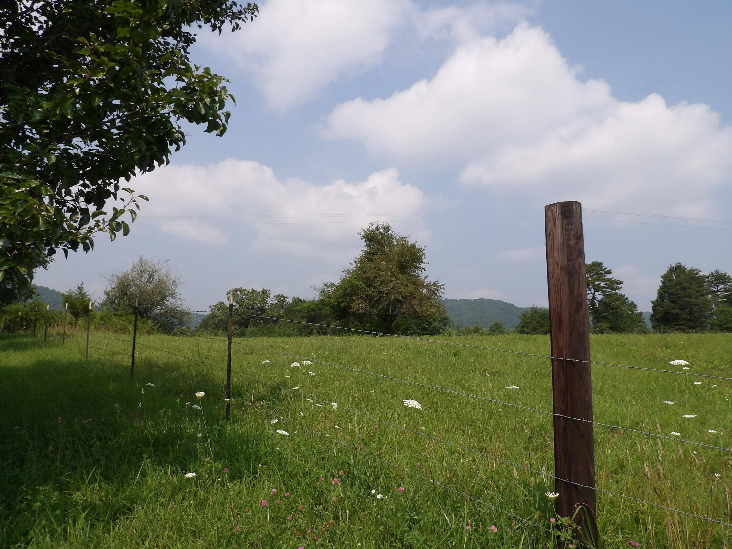 11370 Brockdell Road Pikeville, TN 37367 - Photo 18 of 32 100_5692