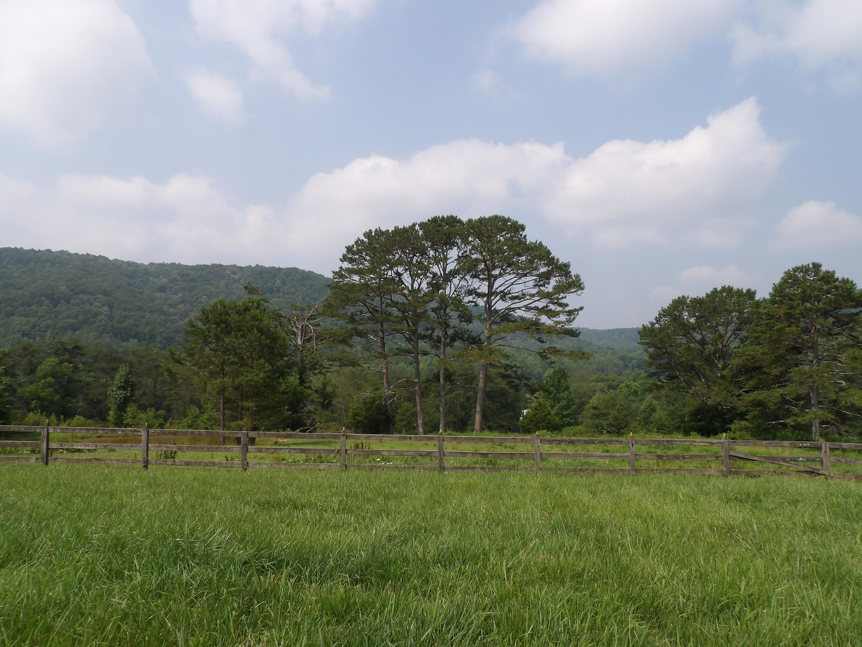 11370 Brockdell Road Pikeville, TN 37367 - Photo 19 of 32 100_5694