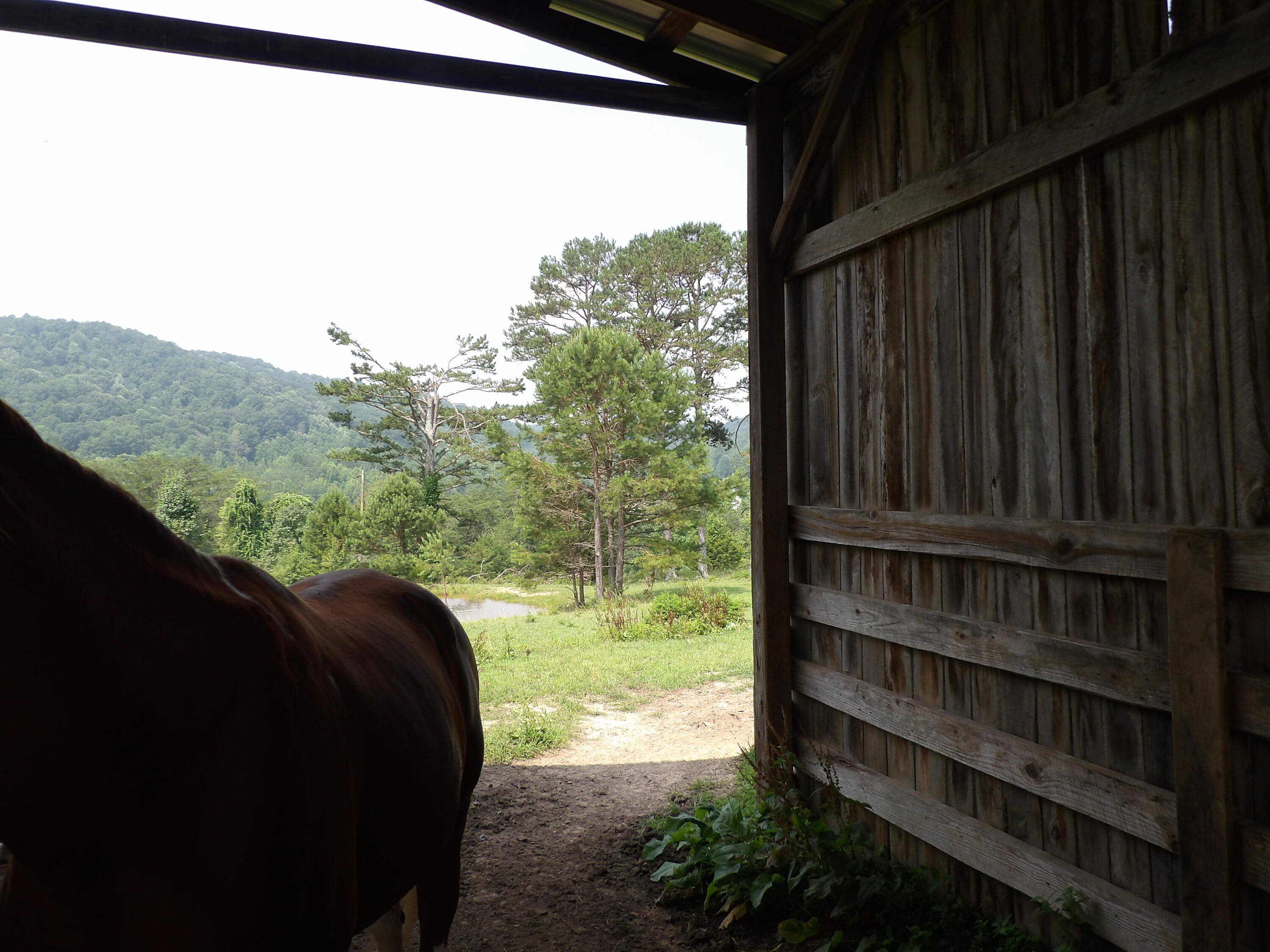 11370 Brockdell Road Pikeville, TN 37367 - Photo 23 of 32 100_5698