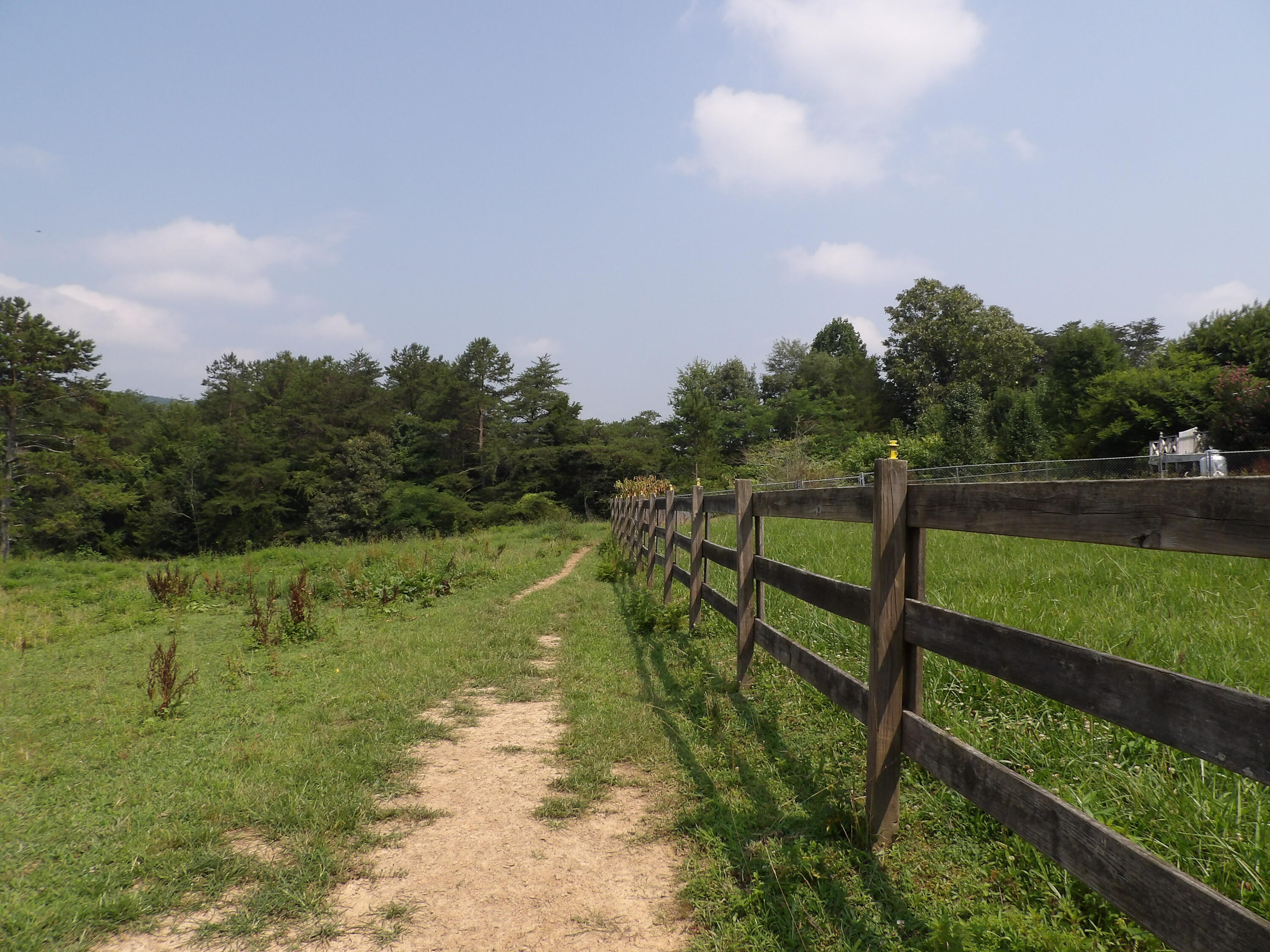 11370 Brockdell Road Pikeville, TN 37367 - Photo 24 of 32 100_5699