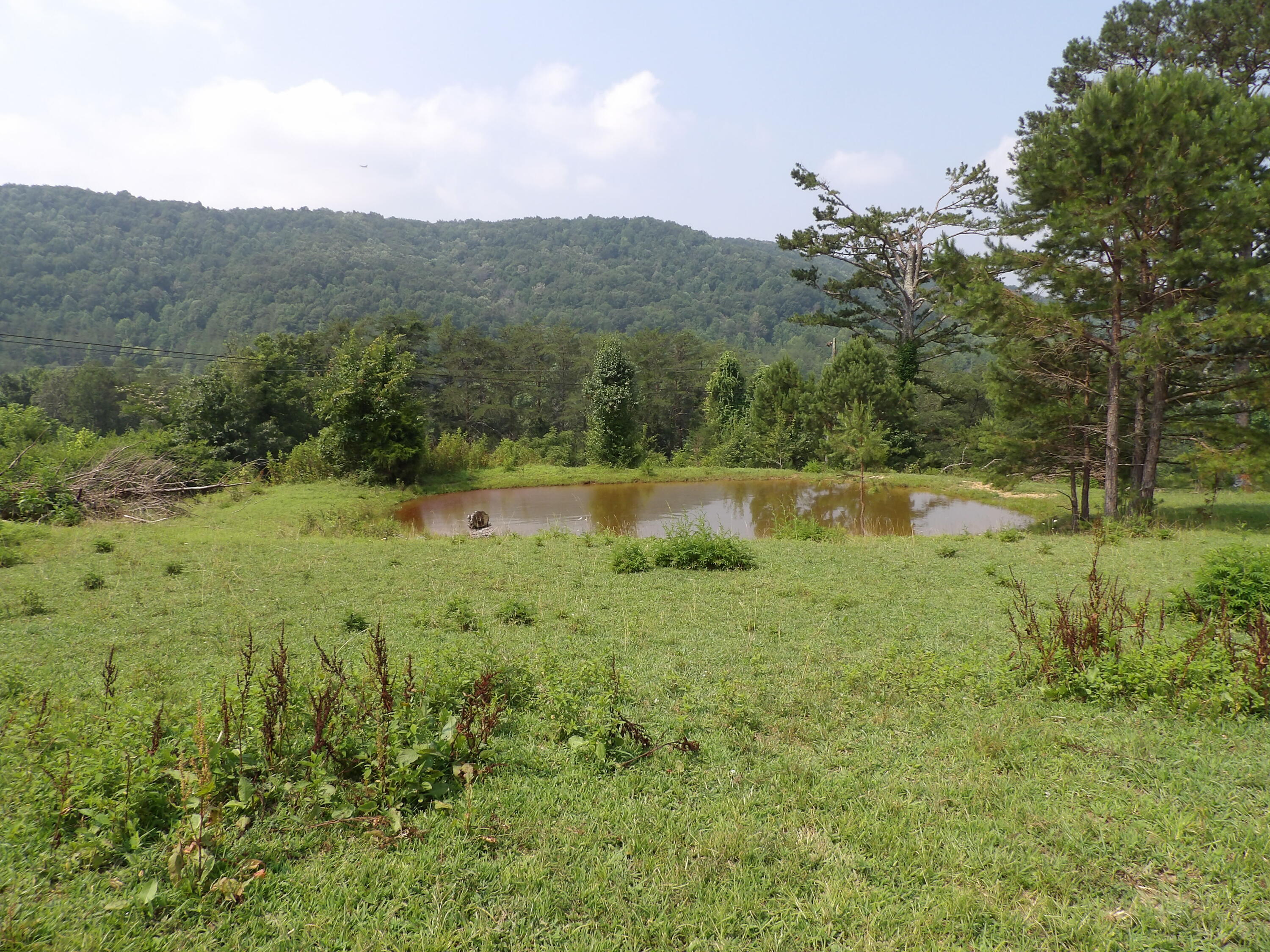 11370 Brockdell Road Pikeville, TN 37367 - Photo 25 of 32 100_5700