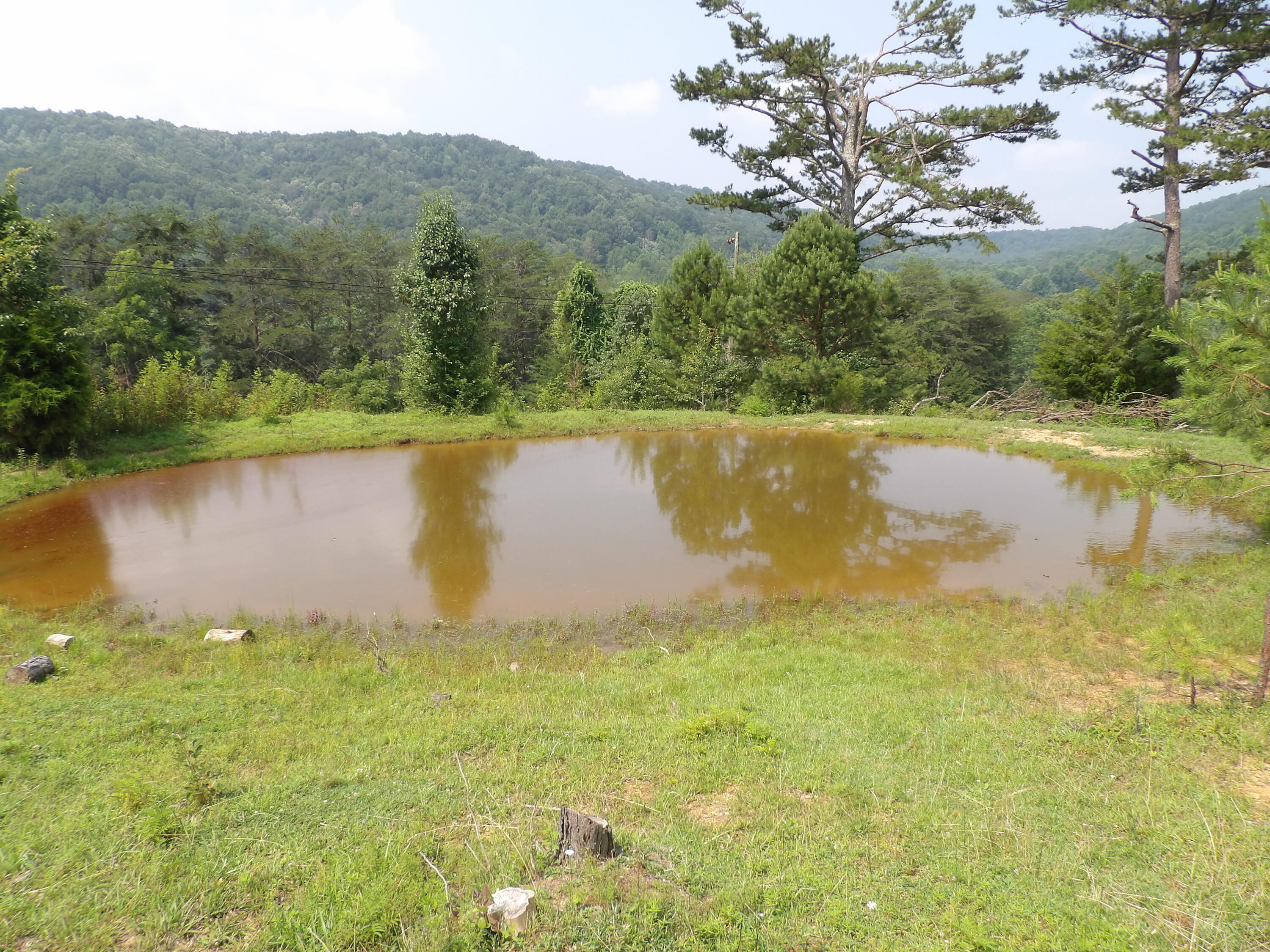 11370 Brockdell Road Pikeville, TN 37367 - Photo 26 of 32 100_5701