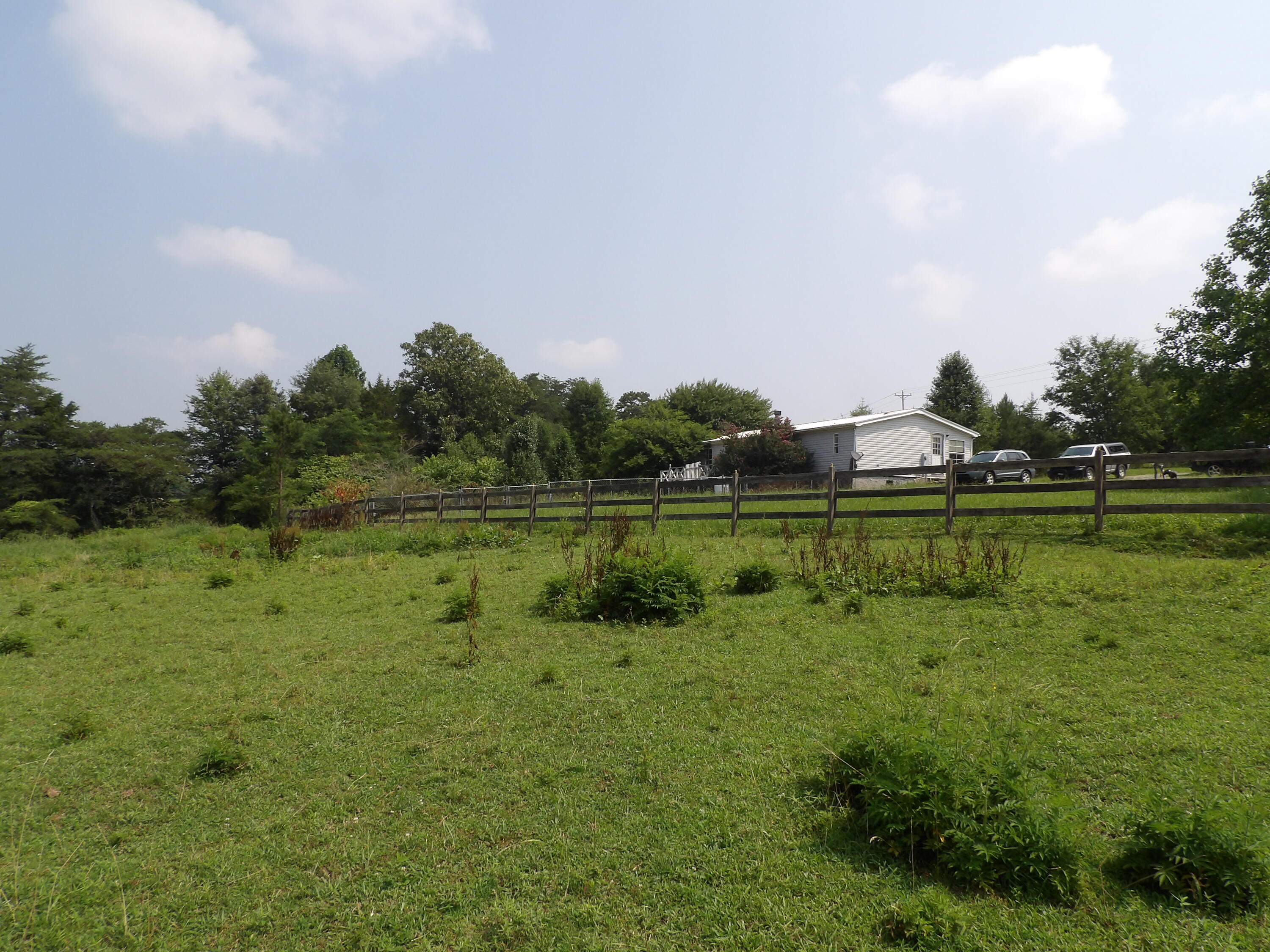 11370 Brockdell Road Pikeville, TN 37367 - Photo 27 of 32 100_5702