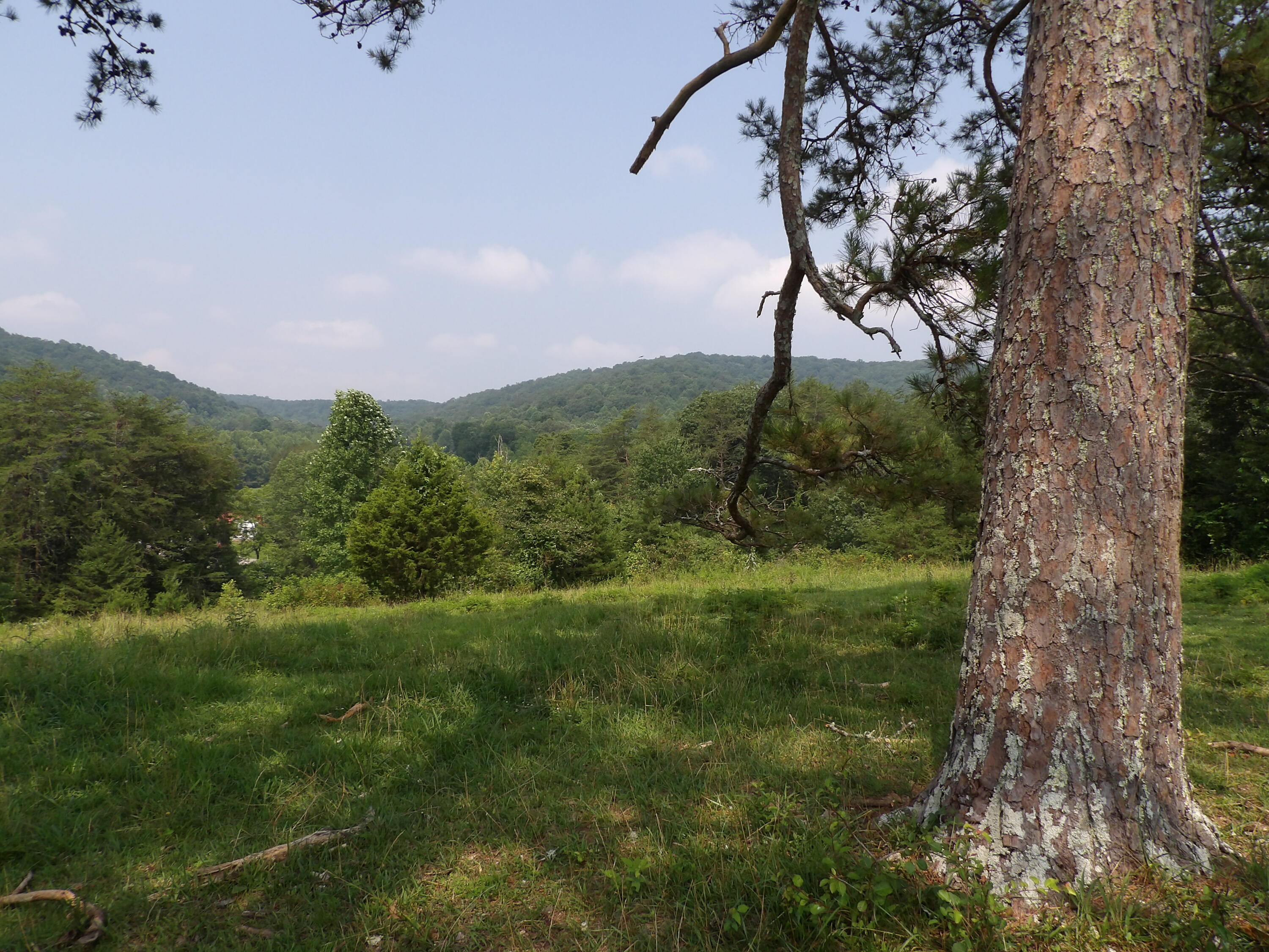 11370 Brockdell Road Pikeville, TN 37367 - Photo 28 of 32 100_5703