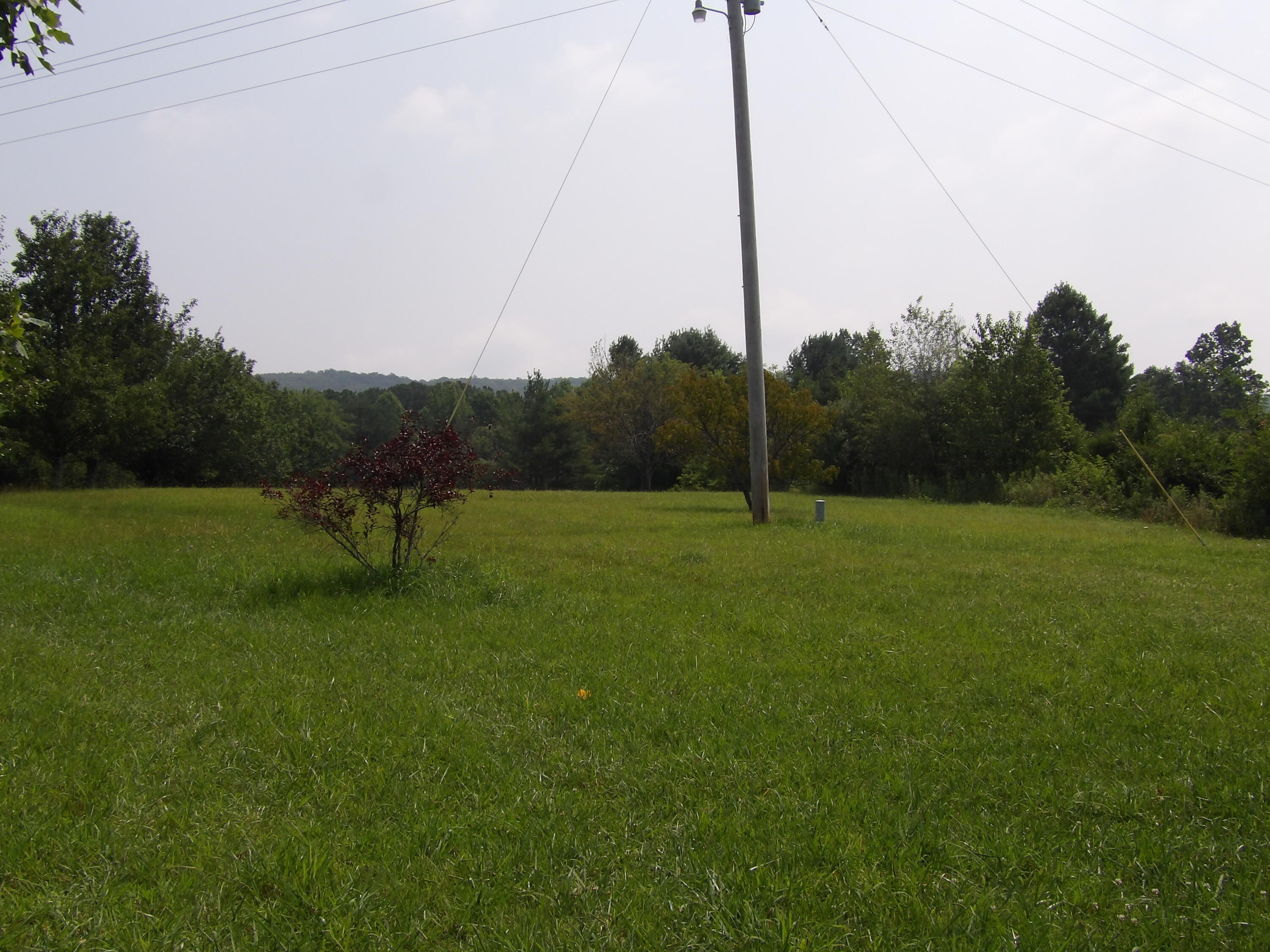 11370 Brockdell Road Pikeville, TN 37367 - Photo 31 of 32 100_5707