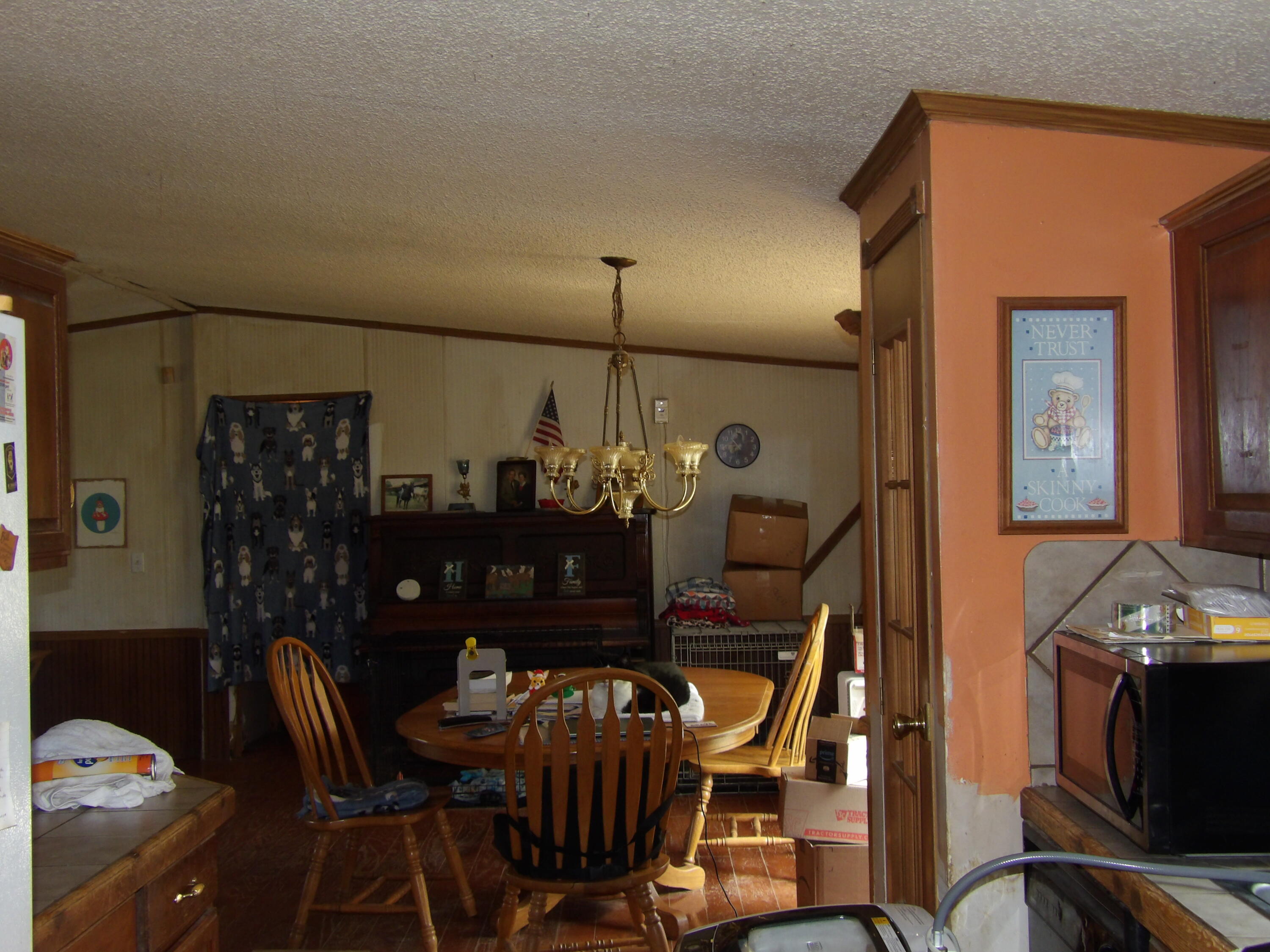 11370 Brockdell Road Pikeville, TN 37367 - Photo 4 of 32 100_5708