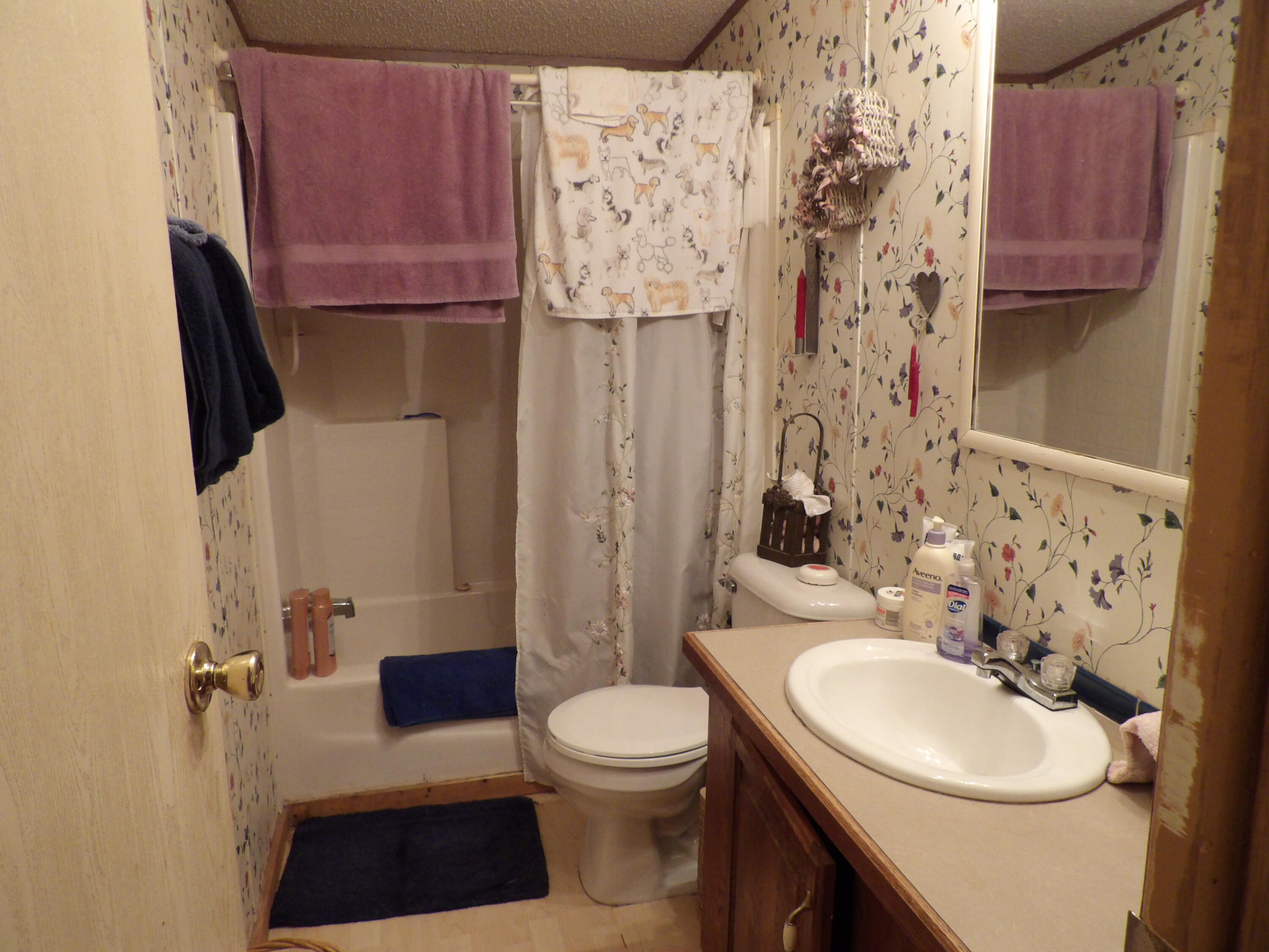 11370 Brockdell Road Pikeville, TN 37367 - Photo 7 of 32 100_5711