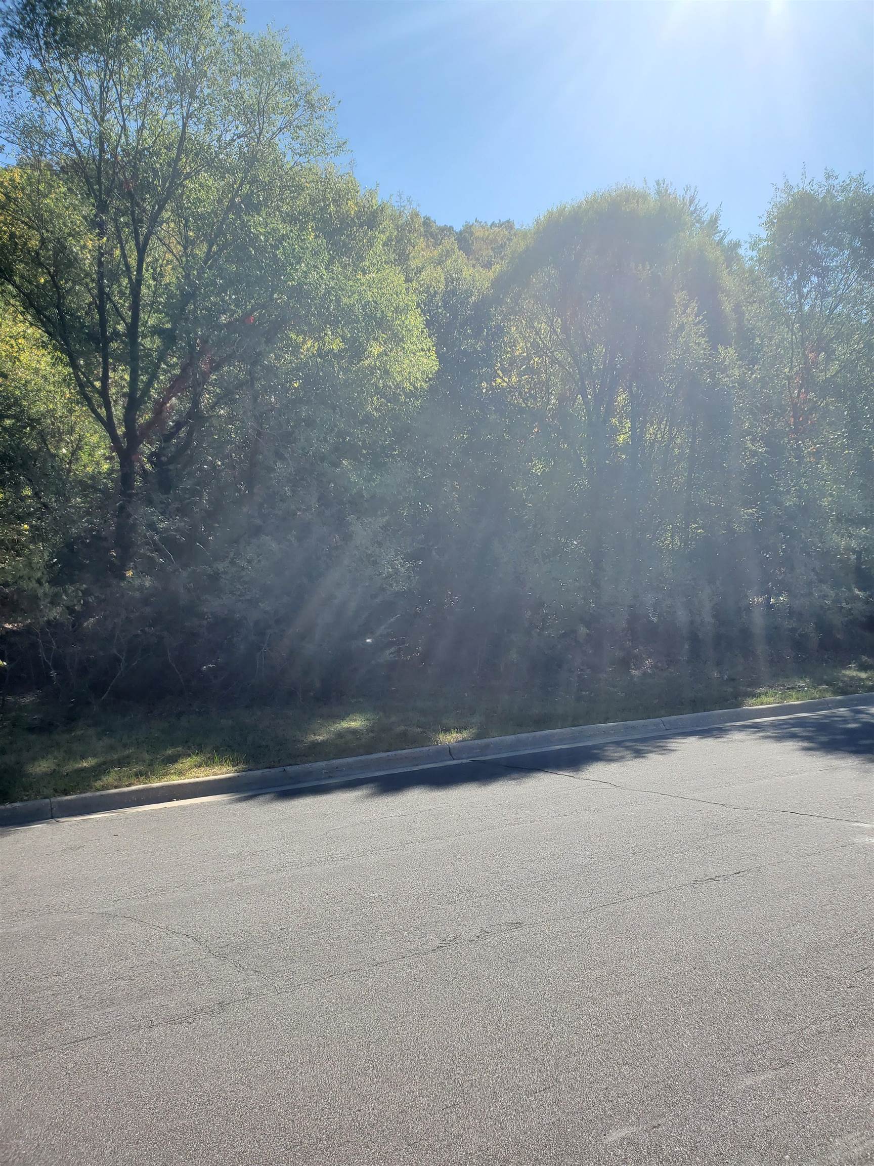 116 Doc Mac Drive Boscobel, WI 53805 - Photo 4 of 4