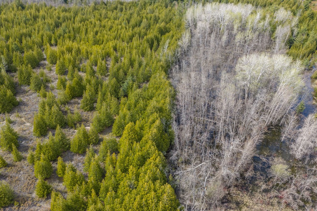 Lot 2 Hill Road Sister Bay, WI 54234 - Photo 22 of 35