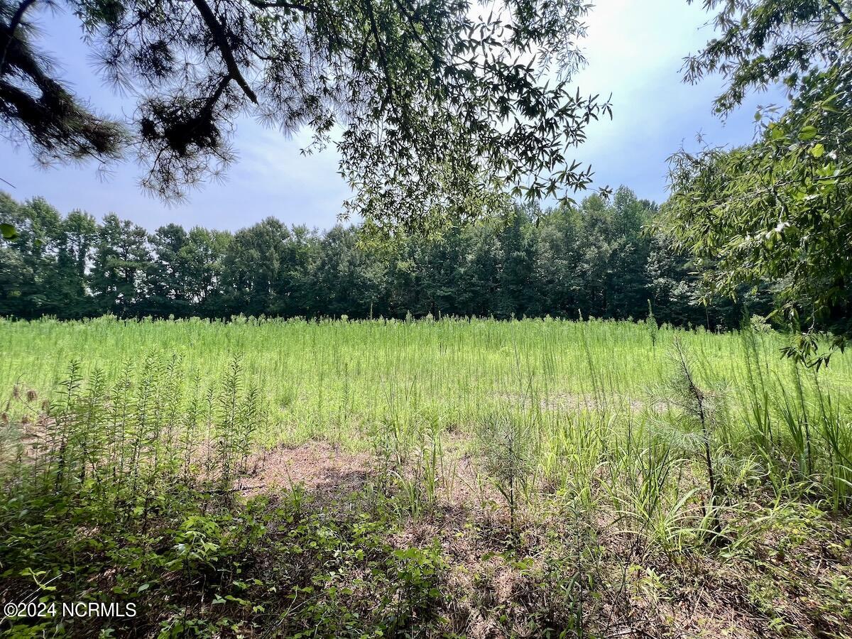 0 Woodruff Road Selma, NC 27576 - Photo 29 of 42 29