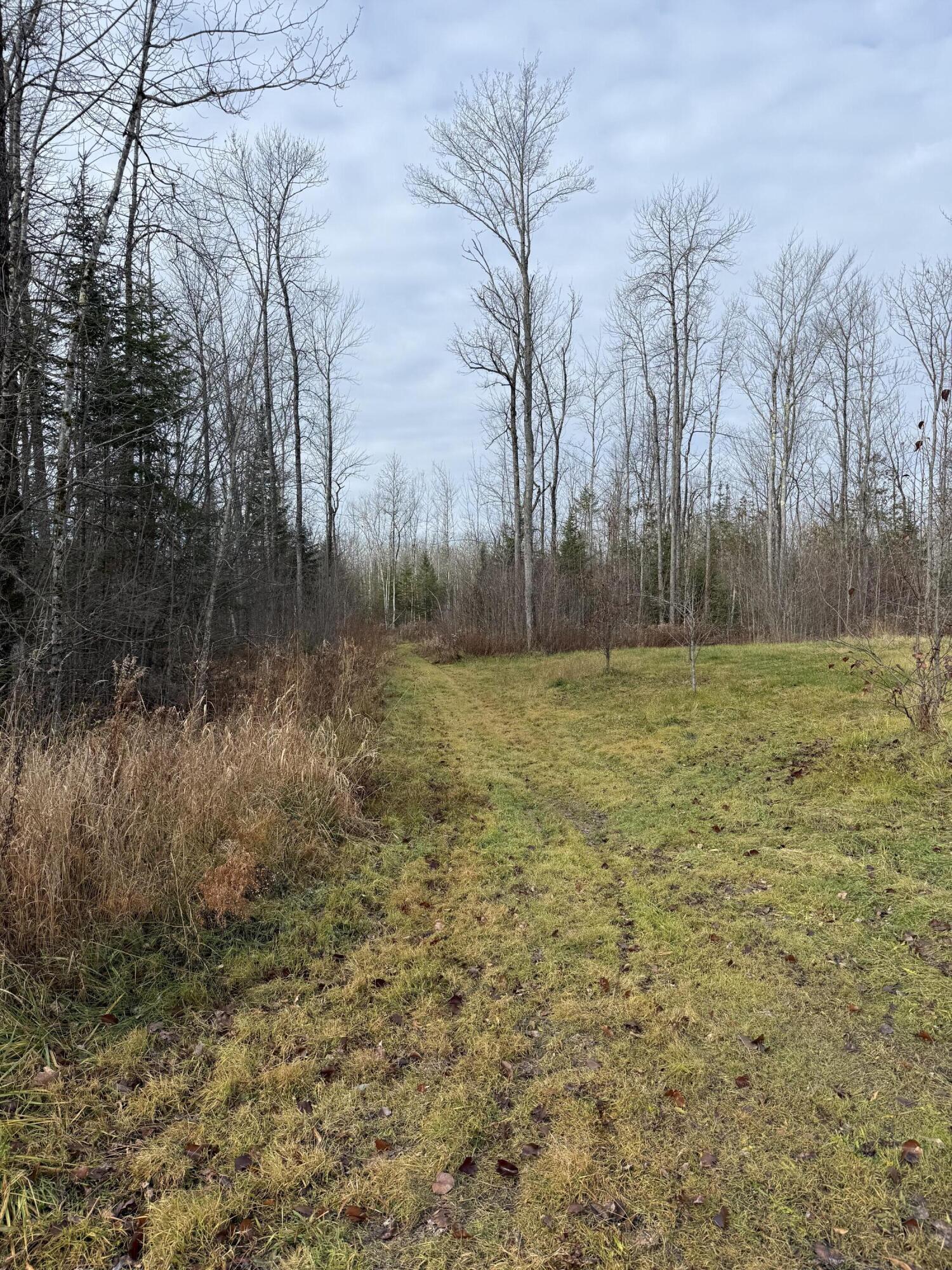 43 Whitten Road Clinton, ME 04927 - Photo 26 of 46 Path to cleared lot