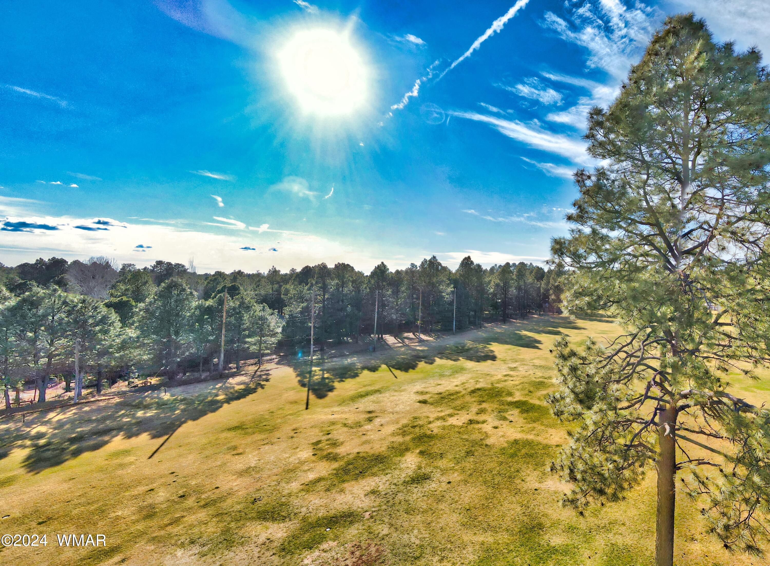 4563 Resort Loop Pinetop, AZ 85935 - Photo 12 of 28