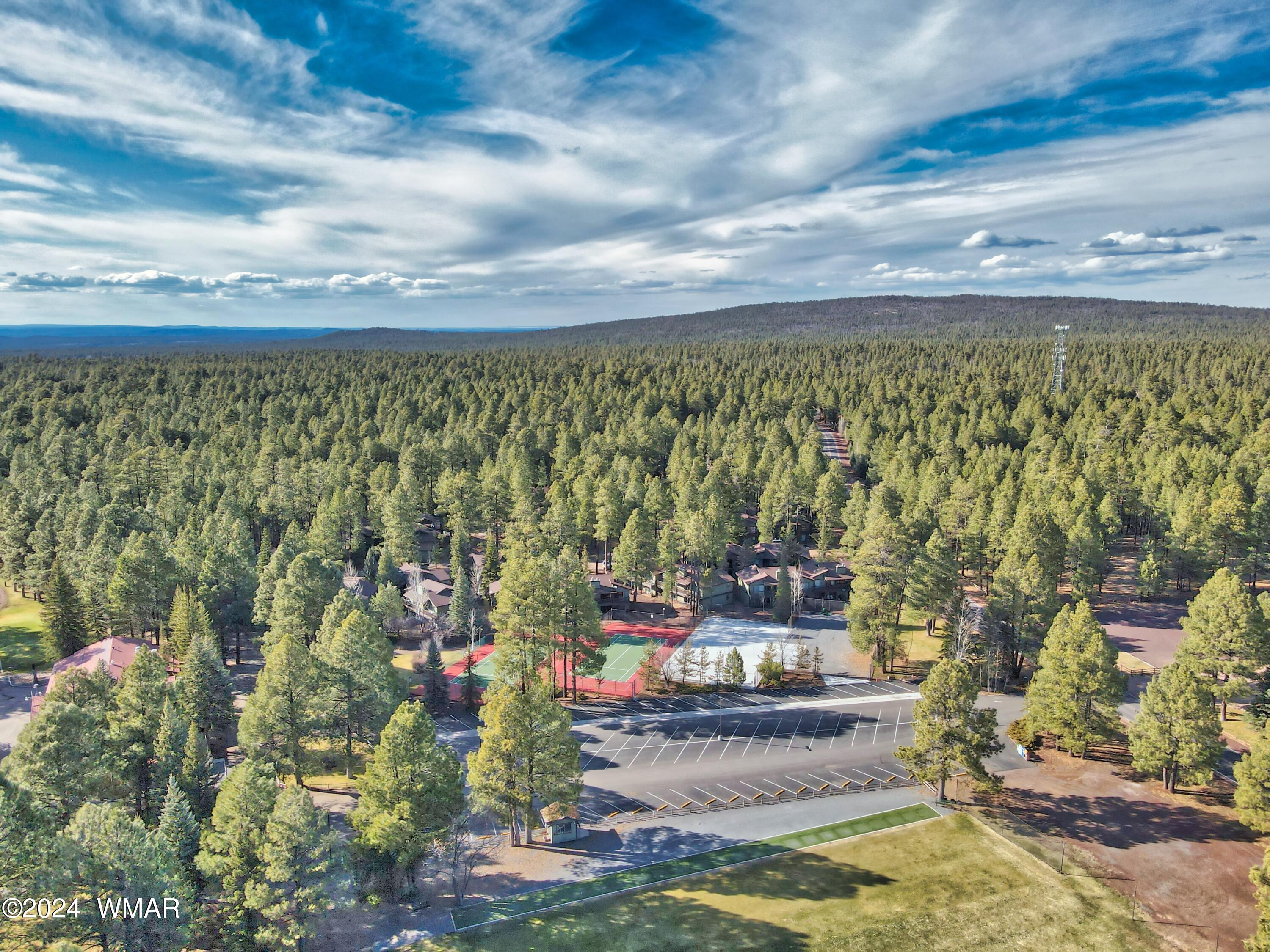4563 Resort Loop Pinetop, AZ 85935 - Photo 9 of 28
