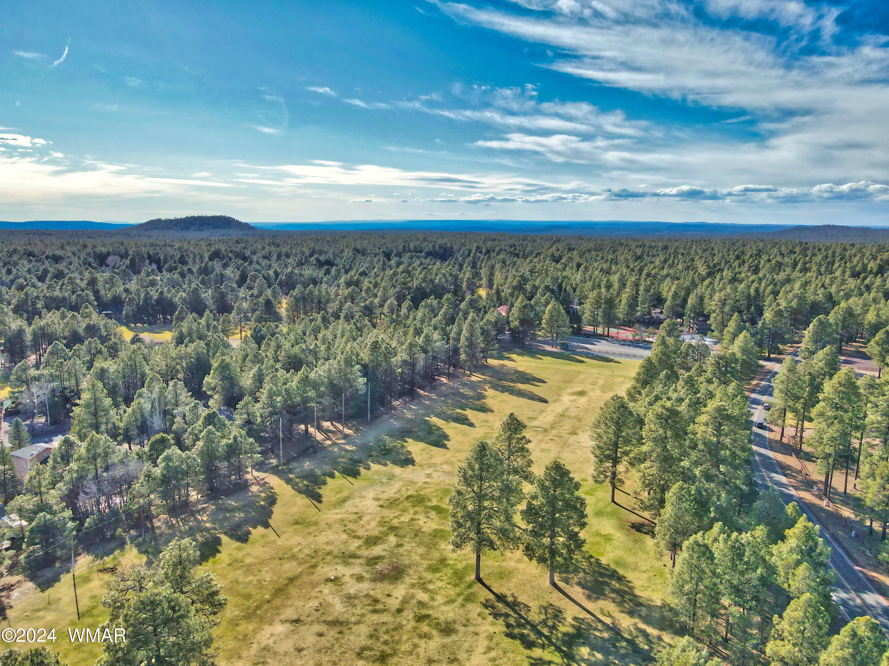 4563 Resort Loop Pinetop, AZ 85935 - Photo 10 of 28