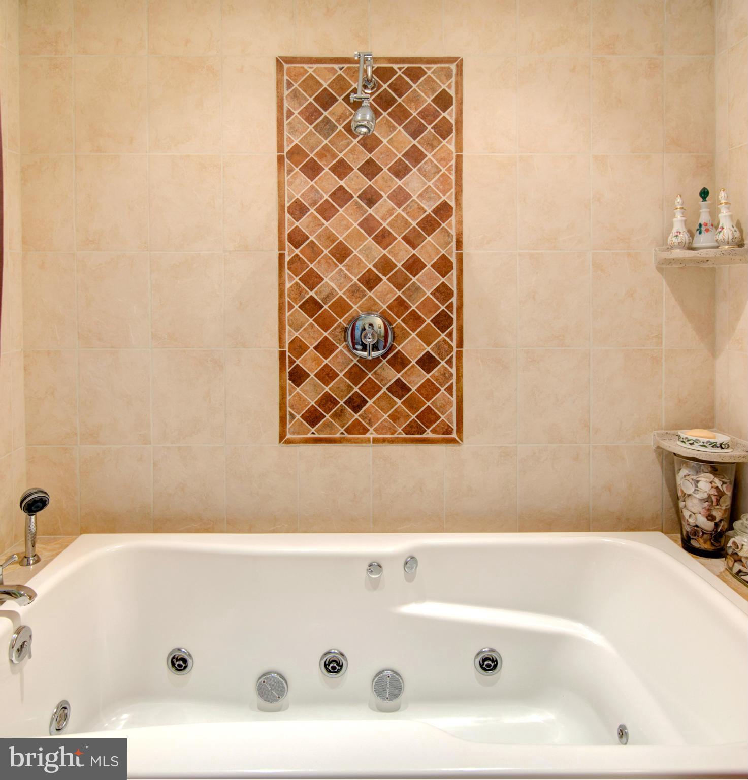 7850 Radcliffe Road Chestertown, MD 21620 - Photo 13 of 23 Bath (Master)