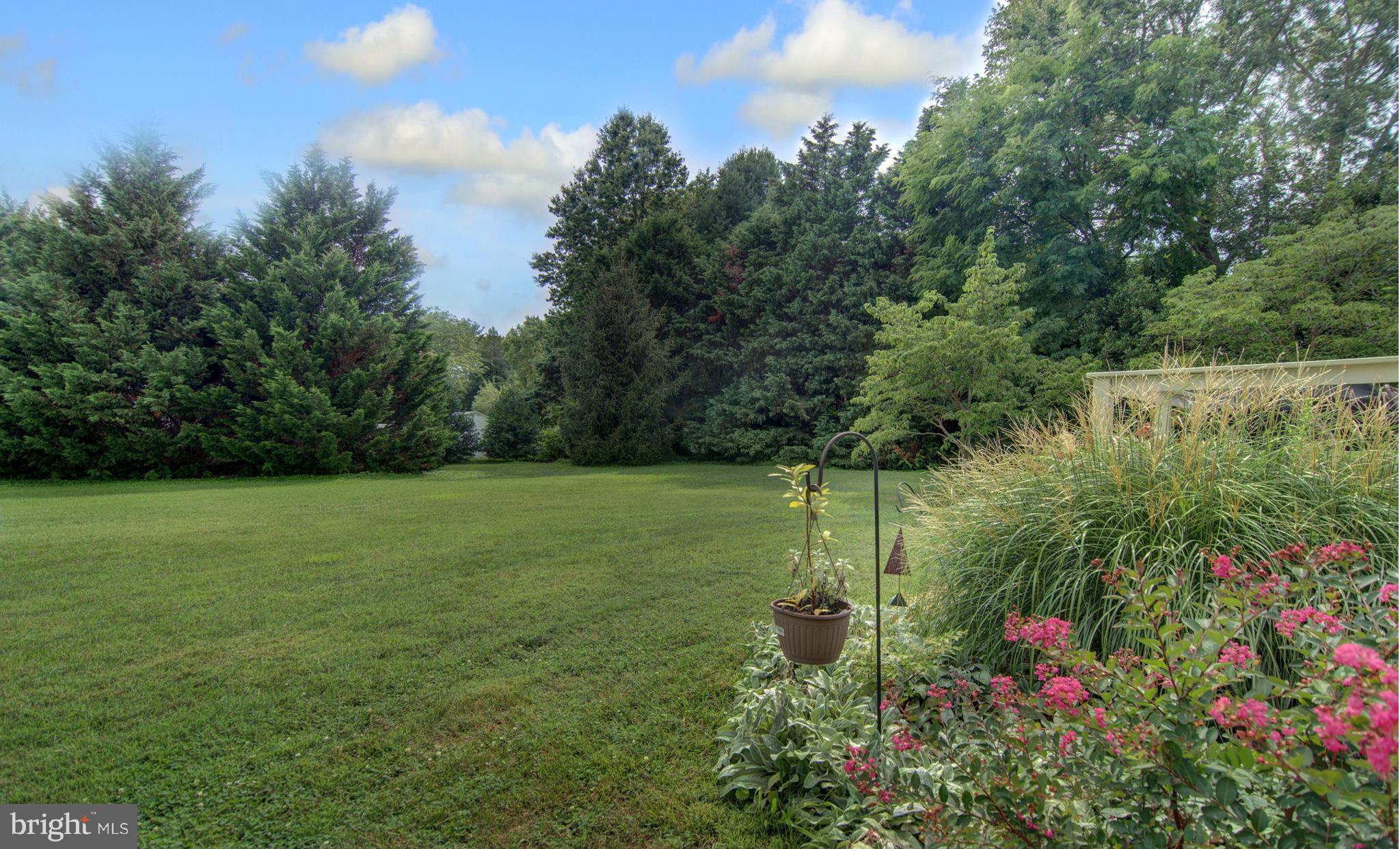 7850 Radcliffe Road Chestertown, MD 21620 - Photo 19 of 23 Spacious Back Yard