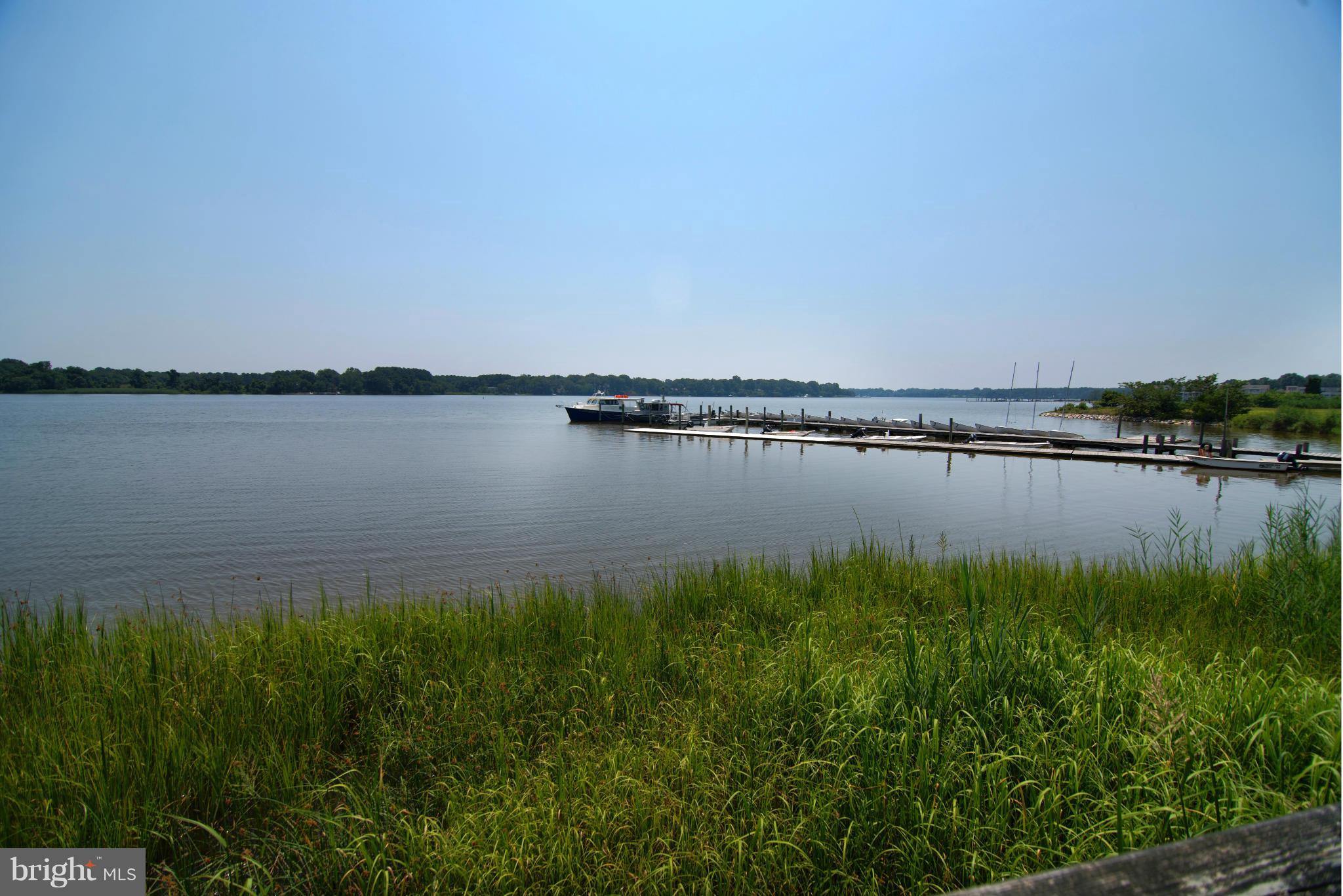 7850 Radcliffe Road Chestertown, MD 21620 - Photo 21 of 23 Nearby Chester River