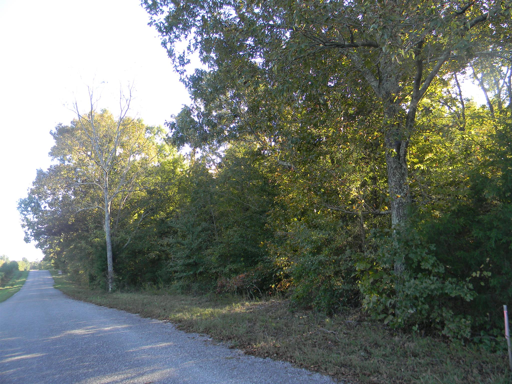 0 Calvin Potts Road, Unit 2 Primm Springs, TN 38476 - Photo 1 of 13 Gallery Image 1
