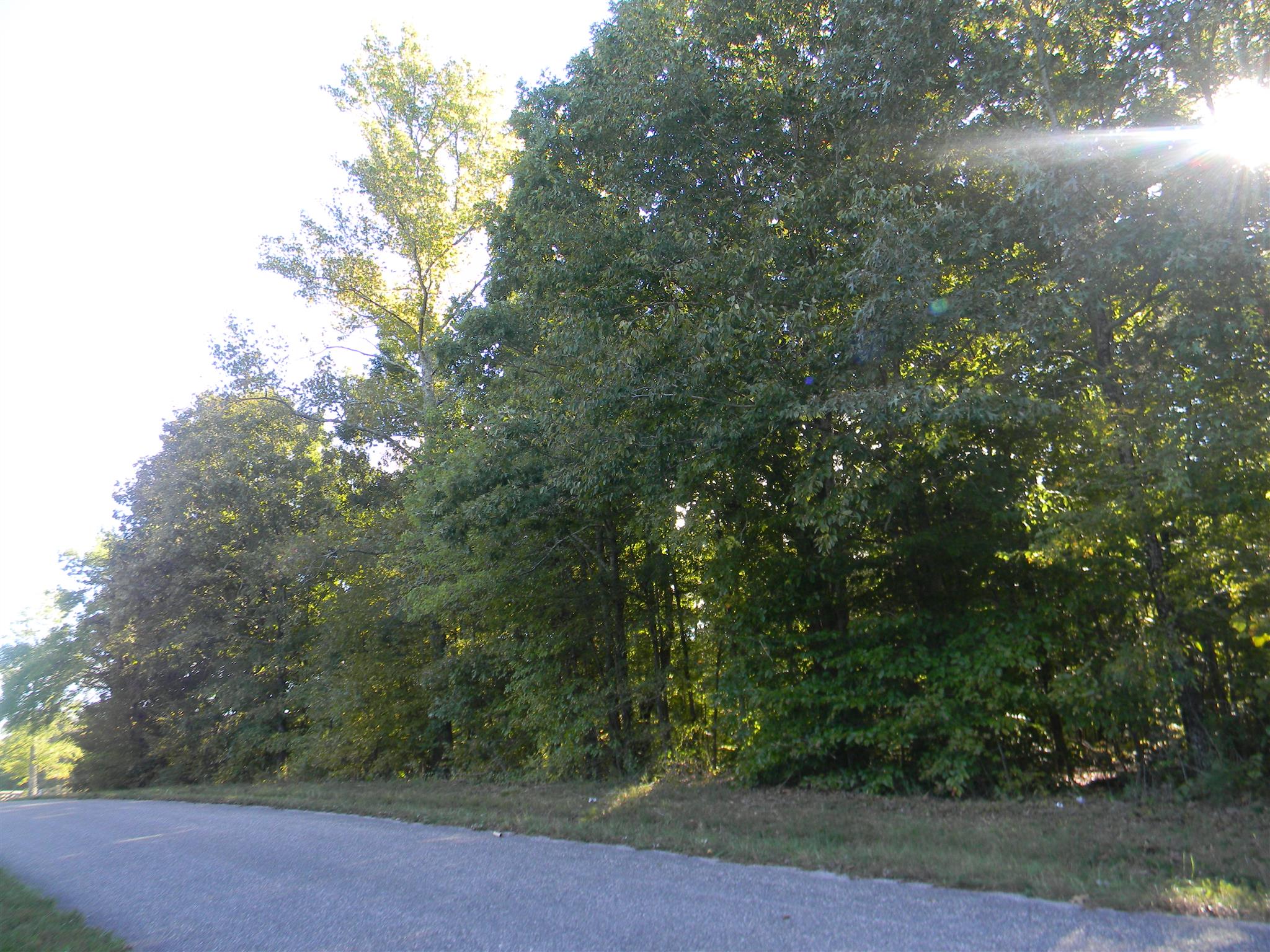 0 Calvin Potts Road, Unit 2 Primm Springs, TN 38476 - Photo 4 of 13 Gallery Image 4