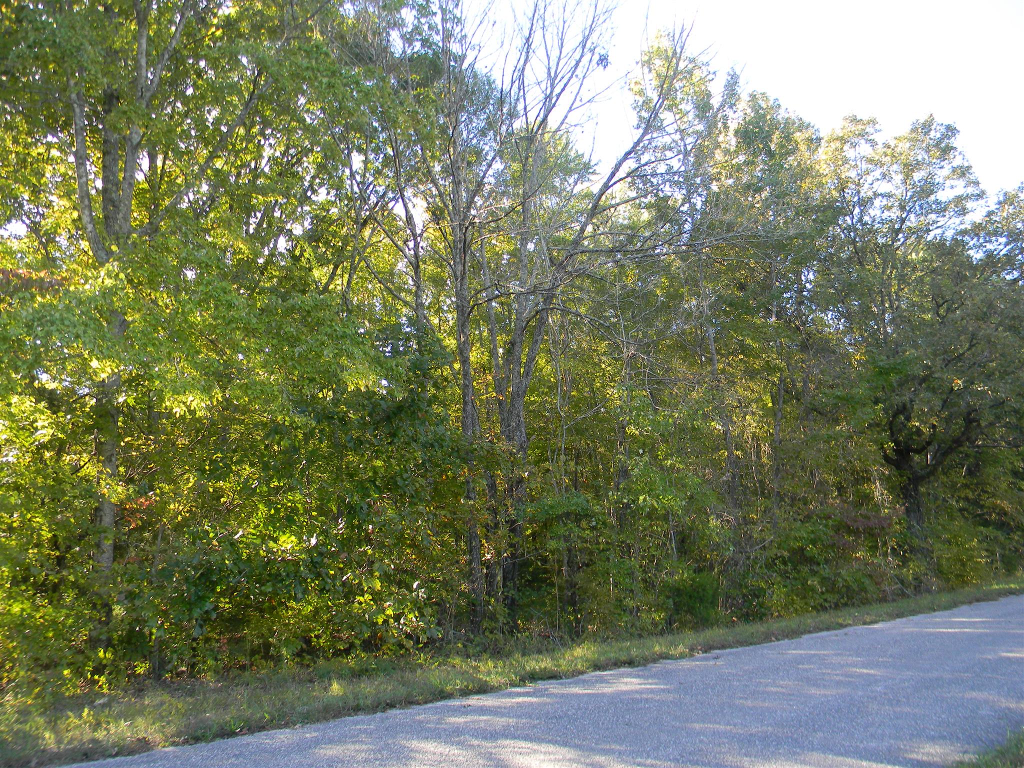0 Calvin Potts Road, Unit 2 Primm Springs, TN 38476 - Photo 6 of 13 Gallery Image 6