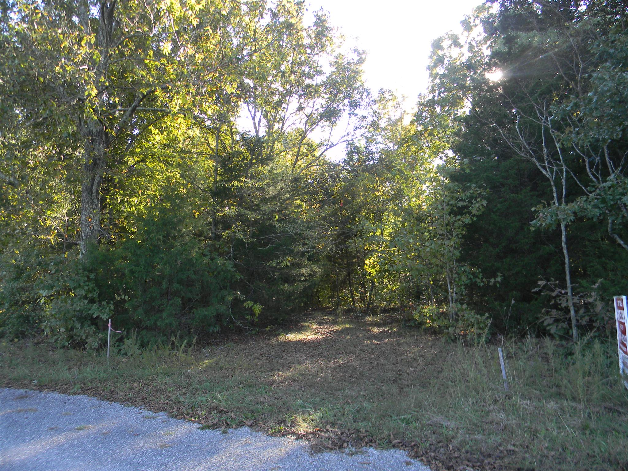 0 Calvin Potts Road, Unit 2 Primm Springs, TN 38476 - Photo 8 of 13 Gallery Image 8