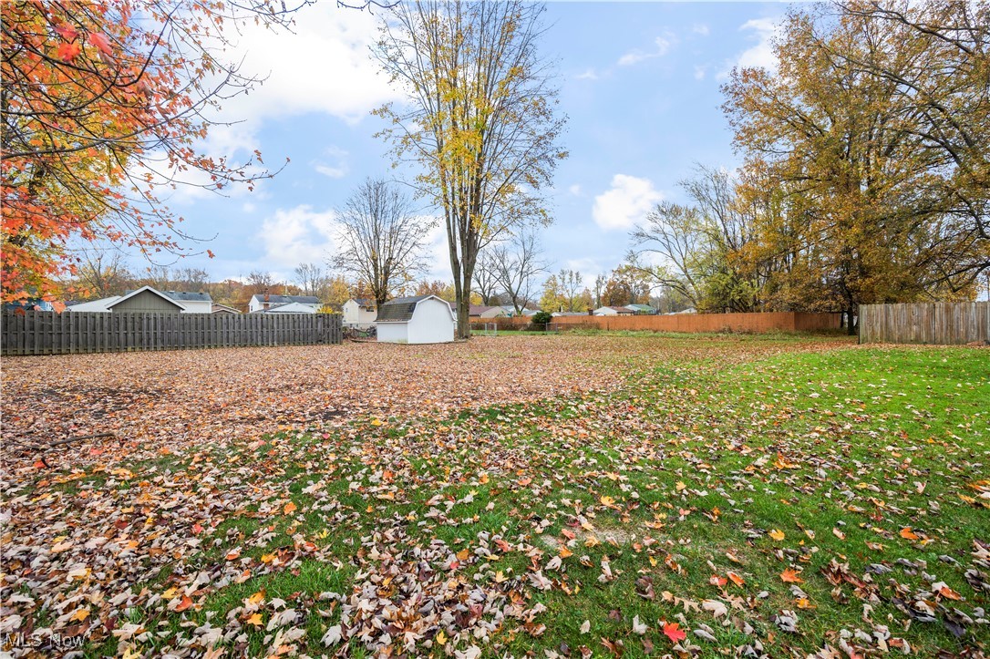 5569 Lear Nagle Road North Ridgeville, OH 44039 - Photo 37 of 41 View of yard featuring a shed