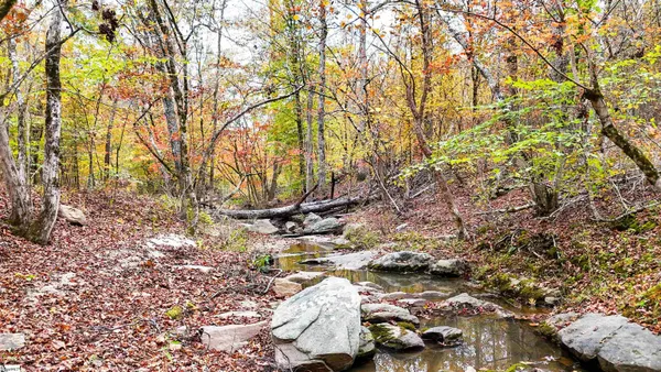 $301,500 | 0 Sulpher Spgs Road, Waterloo, SC 29384