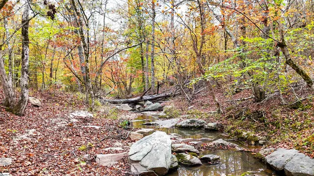 $301,500 | 0 Sulpher Spgs Road, Waterloo, SC 29384