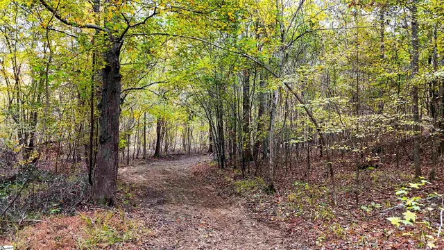 $301,500 | 0 Sulpher Spgs Road, Waterloo, SC 29384