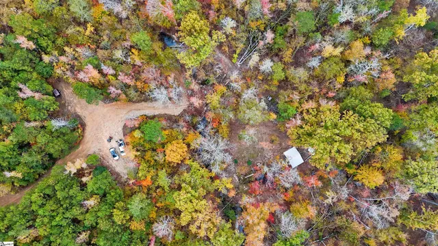 $301,500 | 0 Sulpher Spgs Road, Waterloo, SC 29384