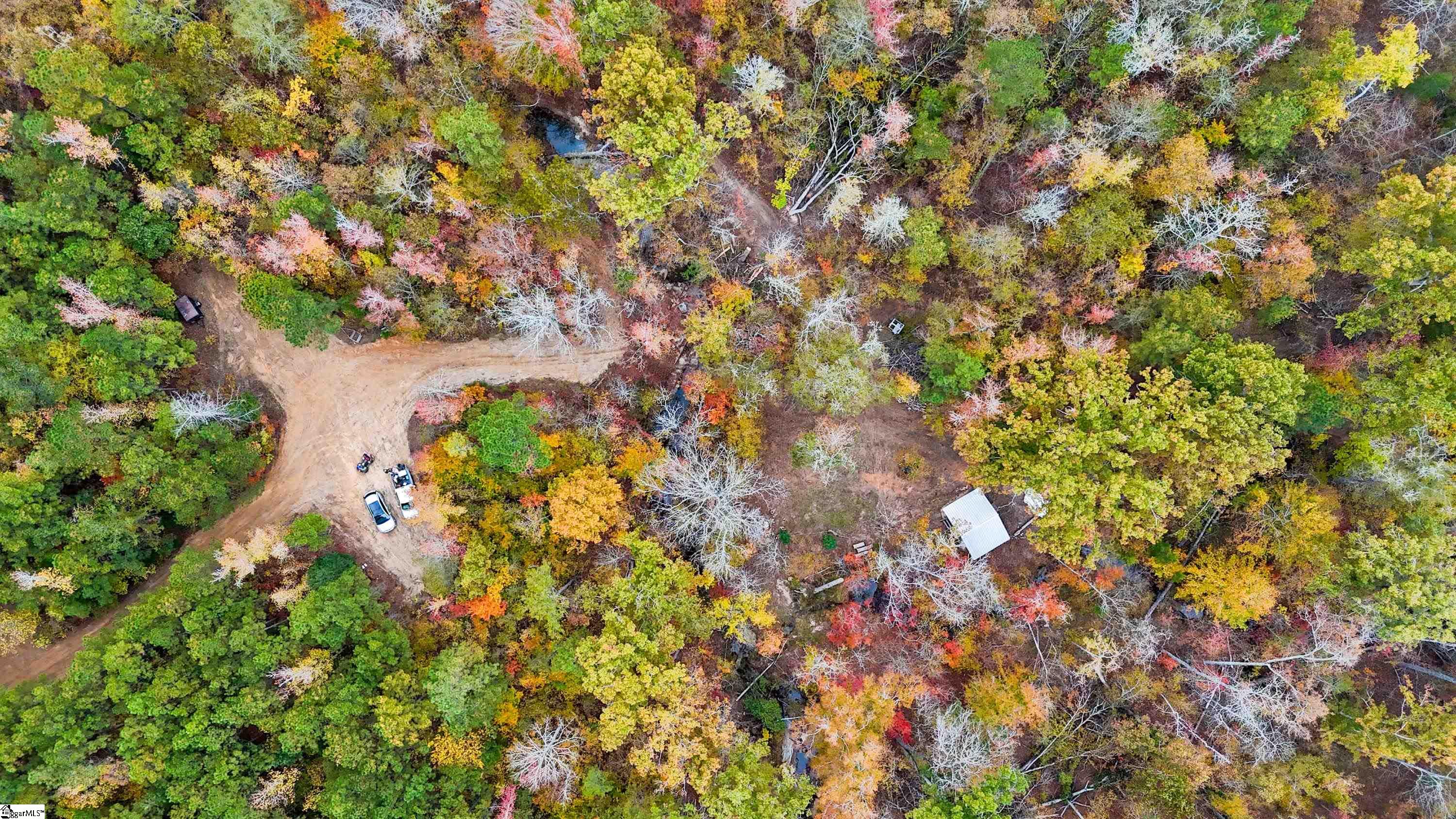 0 Sulpher Spgs Road Waterloo, SC 29384 - Photo 5 of 10