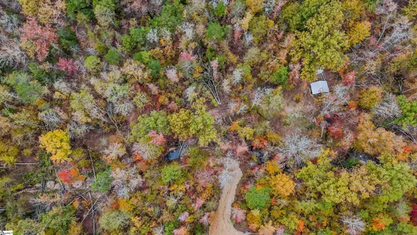 $301,500 | 0 Sulpher Spgs Road, Waterloo, SC 29384