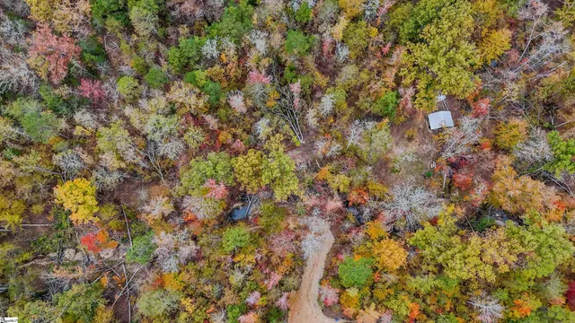 $301,500 | 0 Sulpher Spgs Road, Waterloo, SC 29384