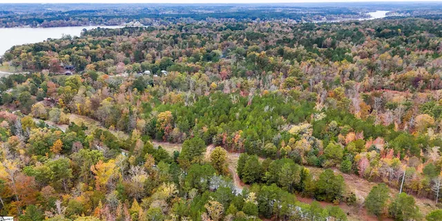 $301,500 | 0 Sulpher Spgs Road, Waterloo, SC 29384