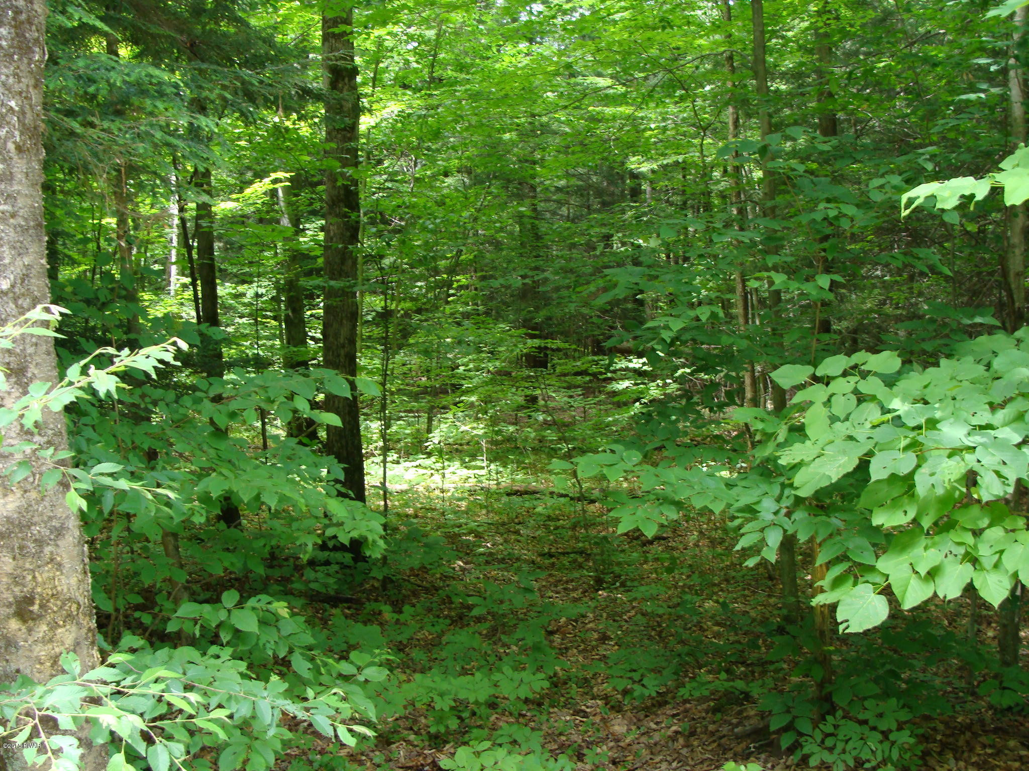 Old Gravity Road Lake Ariel, PA 18436 - Photo 6 of 9