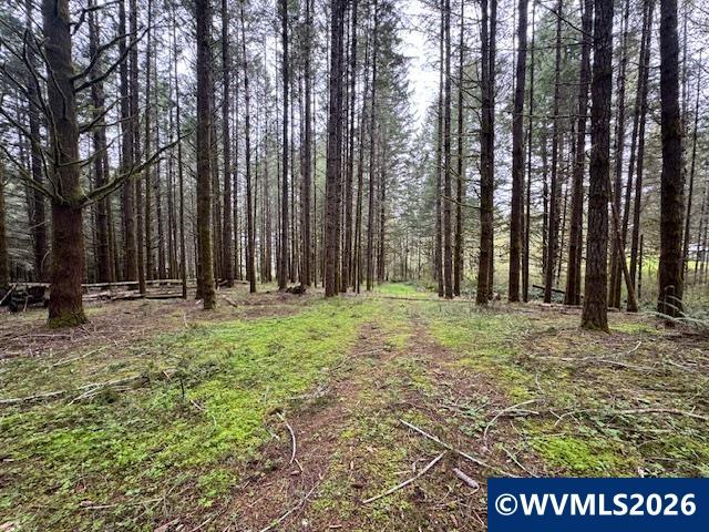 23939 Raze Road Elmira, OR 97437 - Photo 41 of 46