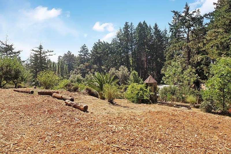 165 Old Ranch Road Woodside, CA 94062 - Photo 54 of 60 a wooden bench with a trees in the background
