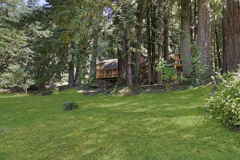 165 Old Ranch Road Woodside, CA 94062 - Photo 58 of 60 a backyard of a house with lots of green space