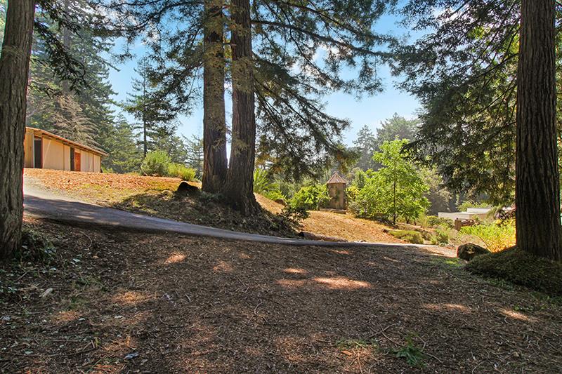 165 Old Ranch Road Woodside, CA 94062 - Photo 59 of 60 a view of a yard with large trees