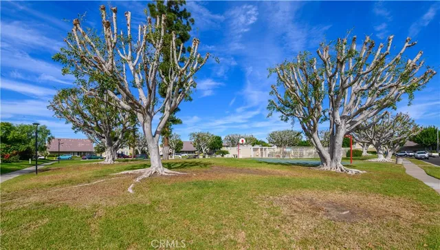 a view of yard with tree in the background
