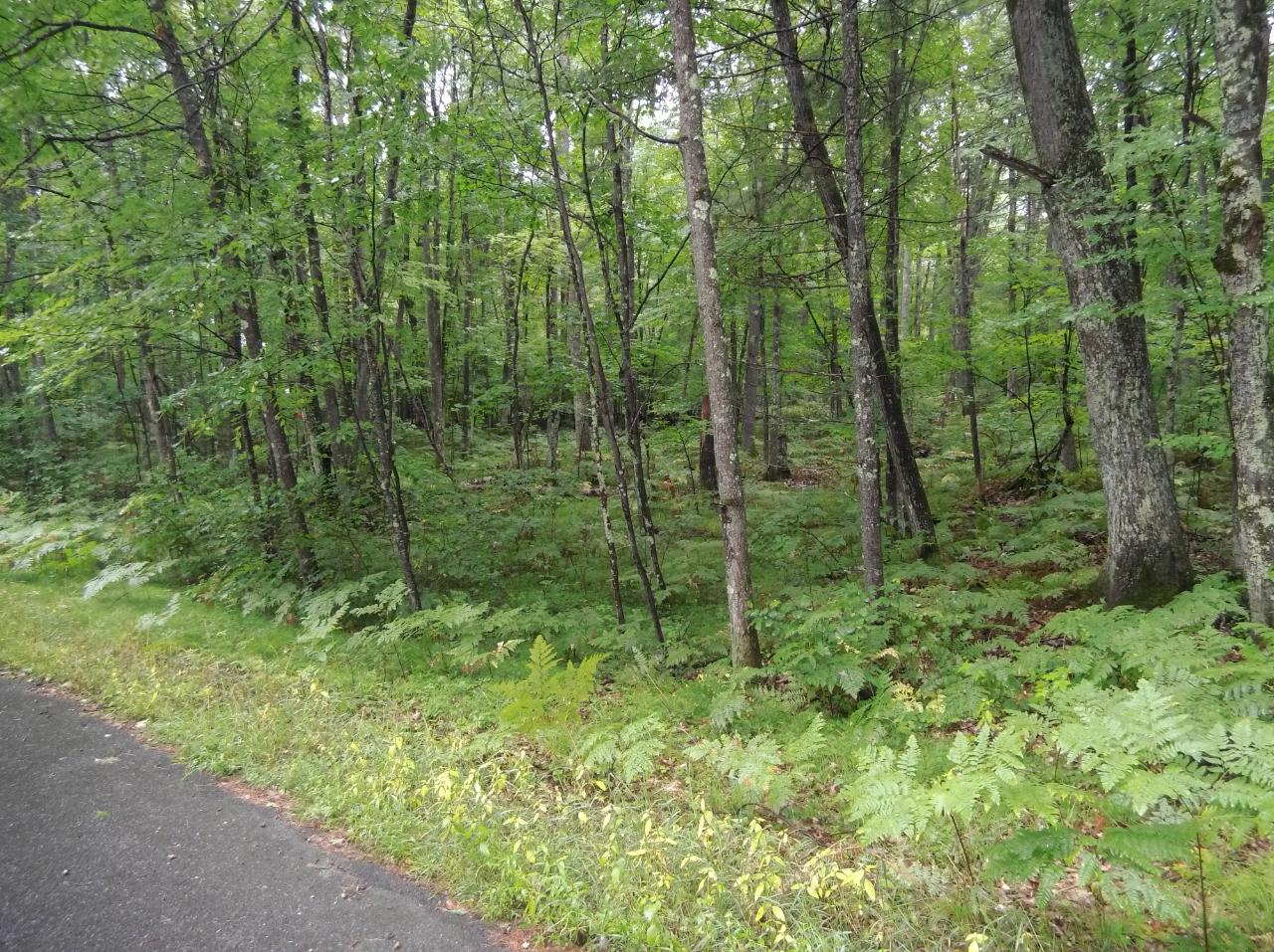 Lot 35 Kollman Road Woodruff, WI 54568 - Photo 2 of 4 Gallery Image 2