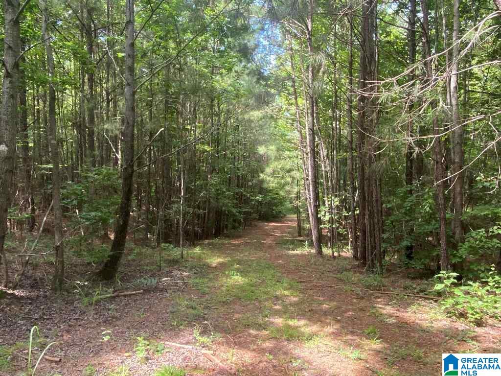 99 County Road, Unit 39 Wedowee, AL 36278 - Photo 3 of 11