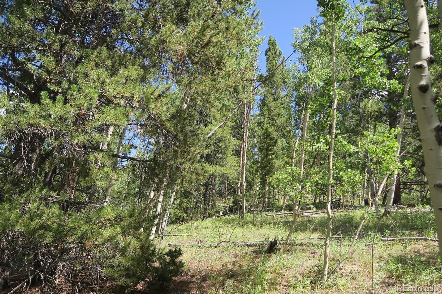 1 Co Road Fairplay, CO 80440 - Photo 3 of 5 Gallery Image 3